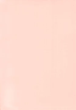 Page 4 of Futari de Araikko.