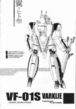 Page 21 of Sen Megami