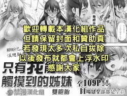 Page 3 of Ore dake ga Sawareru Futago | 只有我能觸摸到的姊妹