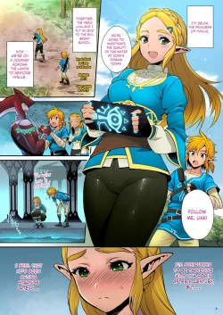 Page 1 of Hyrule Hanei no Tame no Katsudou! | Taking Steps to Ensure Hyrule's Prosperity!]