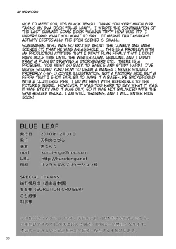 Page 29 of BLUE LEAF