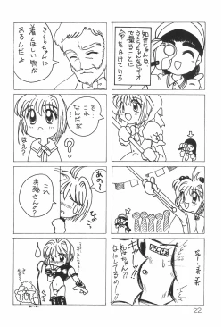 Page 22 of FFF X CCS