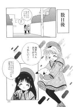 Page 25 of FFF X CCS