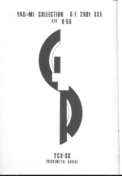 Page 2 of GTR ver0.55