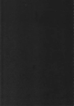 Page 41 of Record of ALDELAYD poop stroll of nightmare