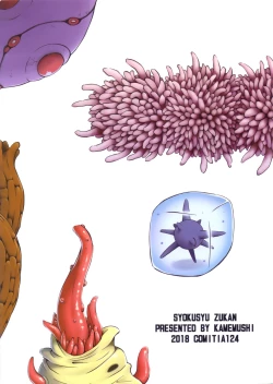 Page 24 of Syokusyu Zukan