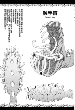 Page 5 of Syokusyu Zukan