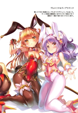 Page 7 of Haruniwa Usamimi Keikaku 2