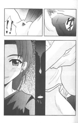 Page 27 of Higyaku No Narusekawa 2