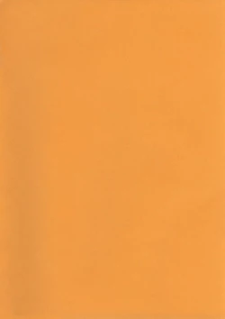 Page 4 of Hoshii no... Akiko-san