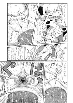 Page 25 of Youjyo Zukan 2