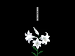 Page 33 of "Yuri no Omokage"