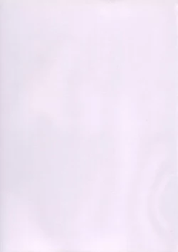 Page 3 of Samurai Tama SAMRAY the REMIXED SPIRITS