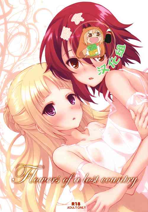 (C91) [Seven Days Holiday (Shinokawa Arumi, Koga Nozomu)] Flowers of a lost country (Shuumatsu no Izetta) [Chinese] [零食汉化组]