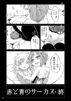 Page 29 of Aka to Ao no Circus