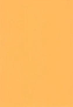 Page 4 of Aliya-san Debut shichaimashita