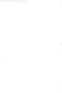 Page 13 of Hazuki Yamai