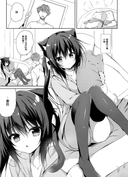 Page 3 of Koneko to Nyan Nyan Biyori