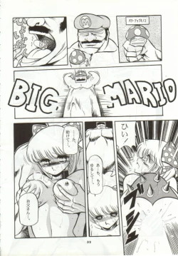 Page 29 of Super Mario Collection