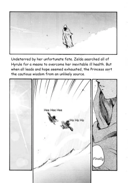 Page 13 of Legend of Zelda; Zelda's Strive