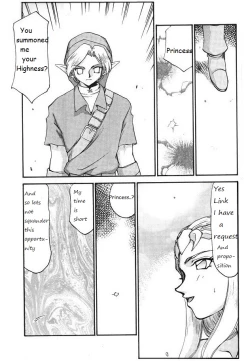 Page 4 of Legend of Zelda; Zelda's Strive