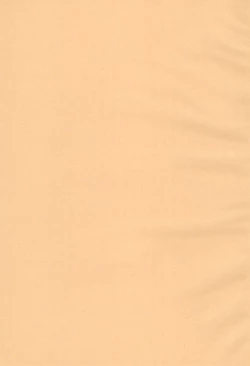 Page 3 of White Azalea