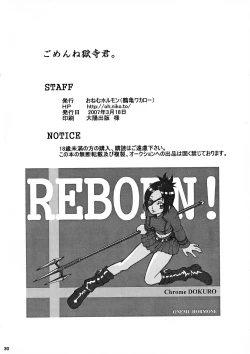 Page 29 of Gomen ne Gokudera-kun.