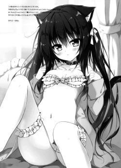 Page 16 of Koneko to Nyan Nyan Biyori