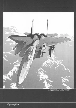 Page 36 of βII "Beta II"