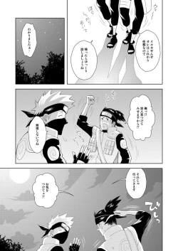 Page 21 of Konoha Kinboshi Doori no Hibi
