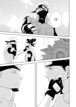 Page 27 of Konoha Kinboshi Doori no Hibi