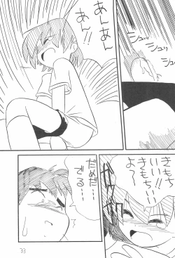 Page 33 of Petapeta 2