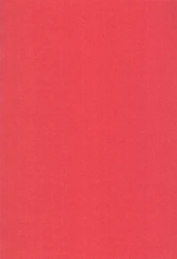 Page 29 of Yume to Kibou no Star Children!