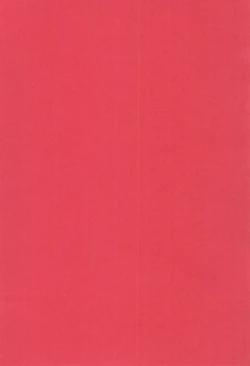 Page 30 of Yume to Kibou no Star Children!