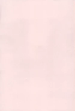 Page 100 of Uryuu to Orihime no Ecchi na Sairoku Hon!