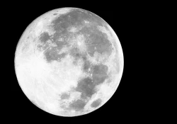 Page 11 of Remilia Ojou-sama no Bonnou