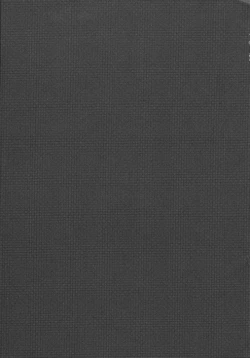 Page 21 of Ajiwau? Tifa no Ayers Rock