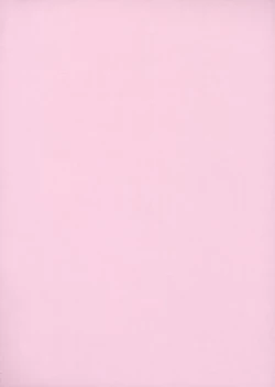 Page 4 of Koiro-chan ga Osouji Bon