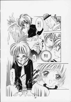 Page 64 of Apricot Collection