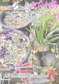 Page 33 of Lovely Flower Collection