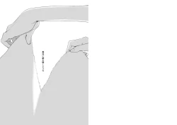 Page 2 of Hikisaku Shiro