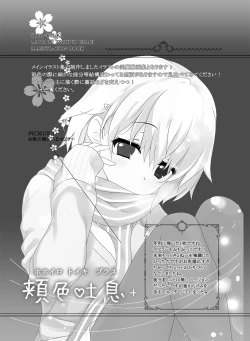 Page 2 of Hohoiro Toiki +