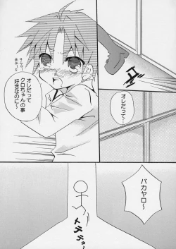 Page 17 of Hachimitsu Note