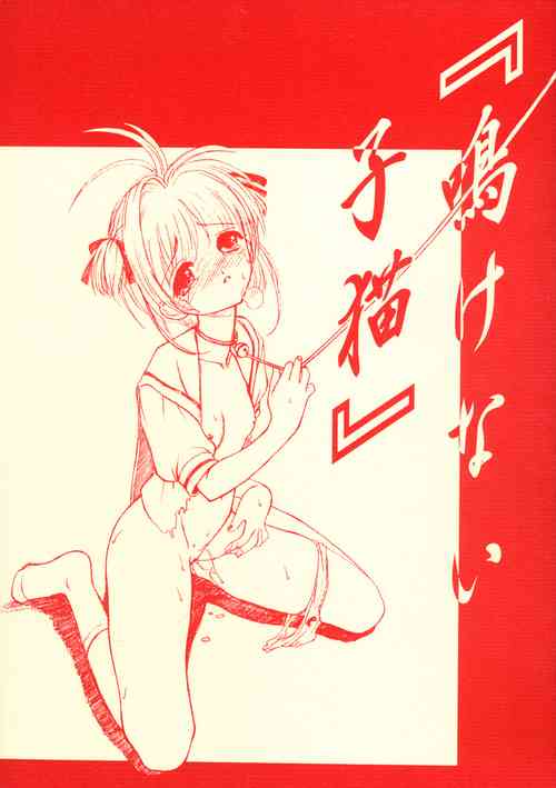 (CR28) [Ekakigoya Notesystem (Nanjou Asuka)] Nakenai Koneko (Cardcaptor Sakura)