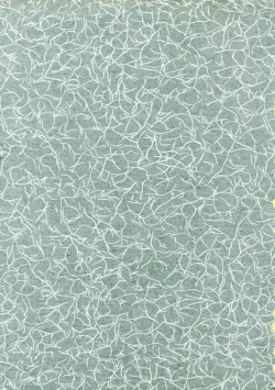 Page 2 of Sakura Ame Final