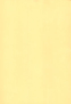 Page 2 of AlisanOff Asa made Ochinchin Review Namahousou | Alinight Penis Review Livestream Sleepover at a Follower's Place