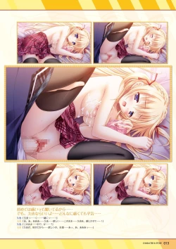 Page 14 of Hanairo Heptagram visual fanbook