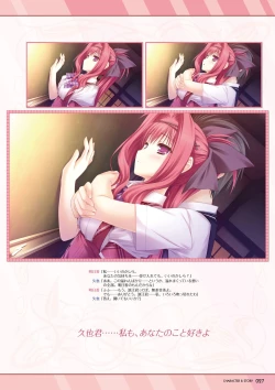 Page 27 of Hanairo Heptagram visual fanbook