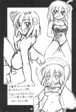 Page 19 of ROLLOUT +