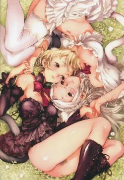 Page 13 of Epidendrum